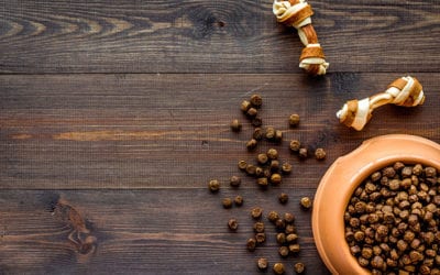 Best Hardwood Flooring for Households with Pets?