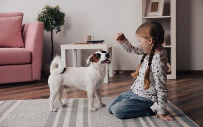 Keeping your Hardwood Floors Looking Great with Pets